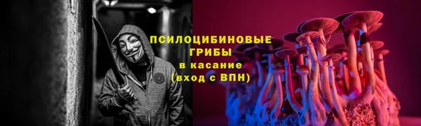 spice Арсеньев