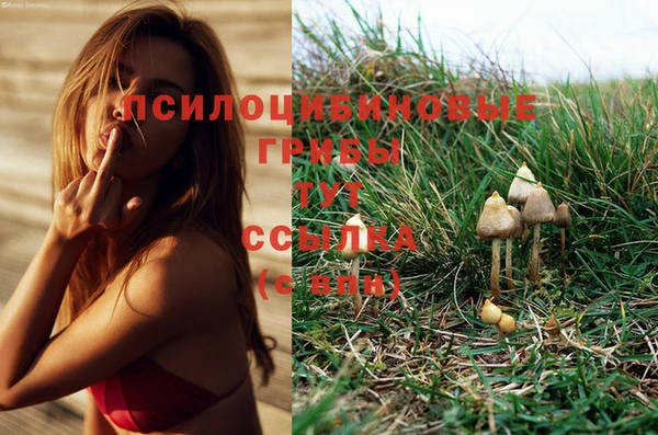 а пвп мука Армянск
