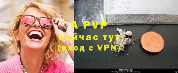 spice Арсеньев
