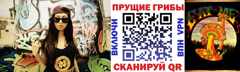 KRAKEN сайт  Сунжа  Псилоцибиновые грибы Psilocybe 
