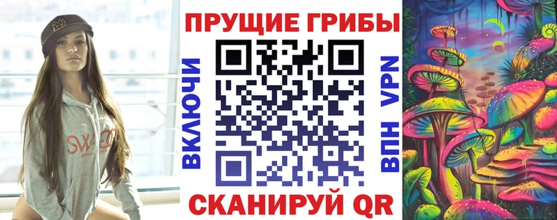 Галлюциногенные грибы Psilocybe Сунжа